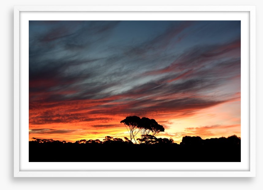 Sunset over the Australian bush