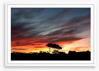 Sunset over the Australian bush