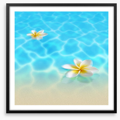 Frangipani beach