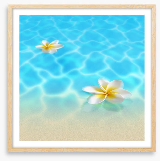 Frangipani beach