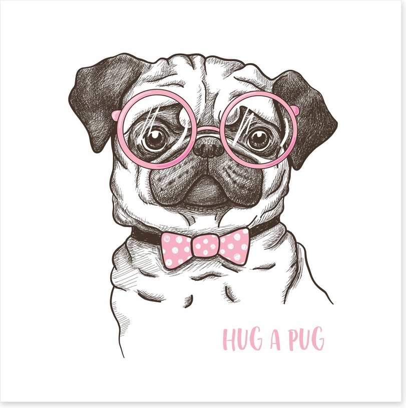 Hug a pug