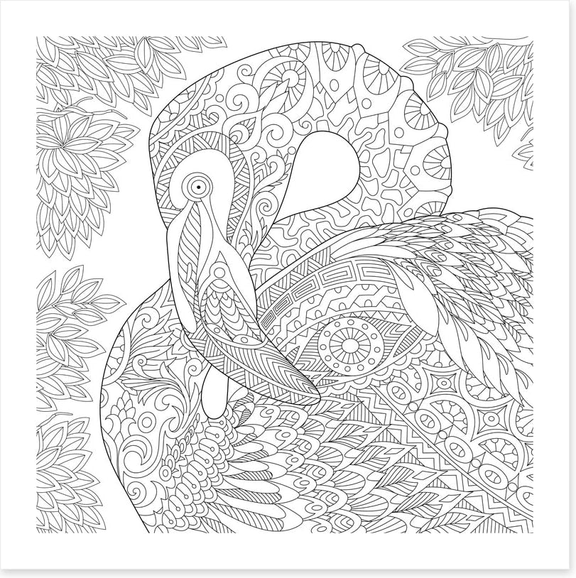 Colour me flamingo