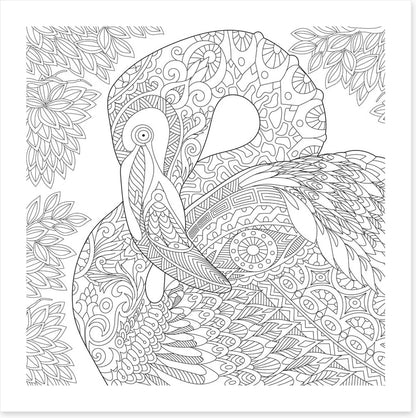 Colour me flamingo