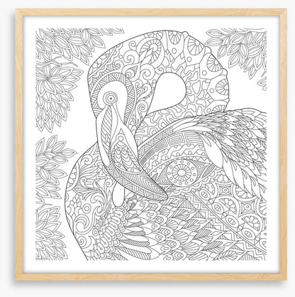 Colour me flamingo