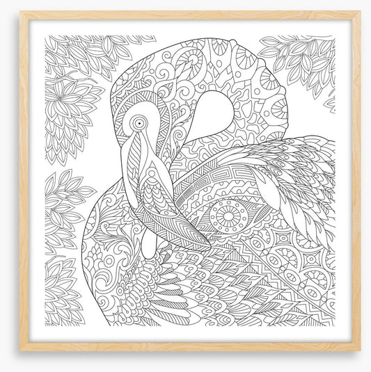 Colour me flamingo