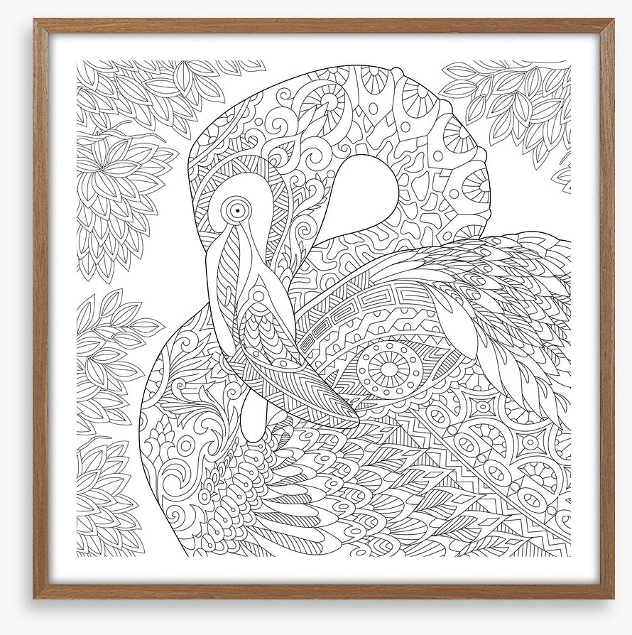 Colour me flamingo