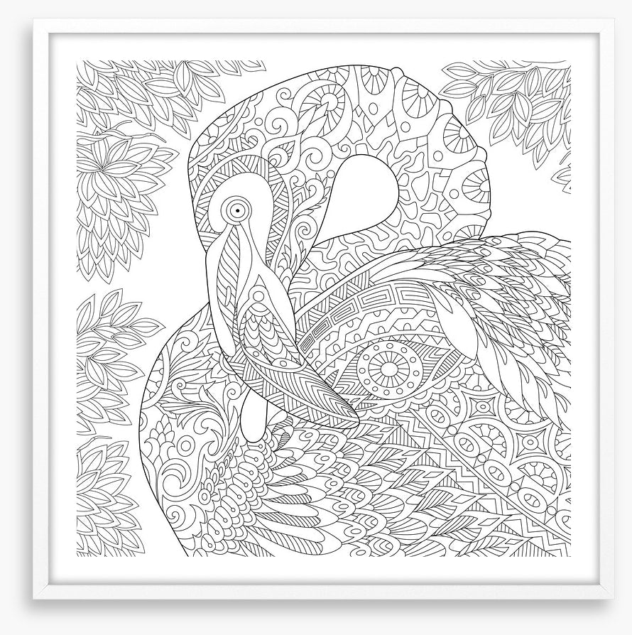 Colour me flamingo
