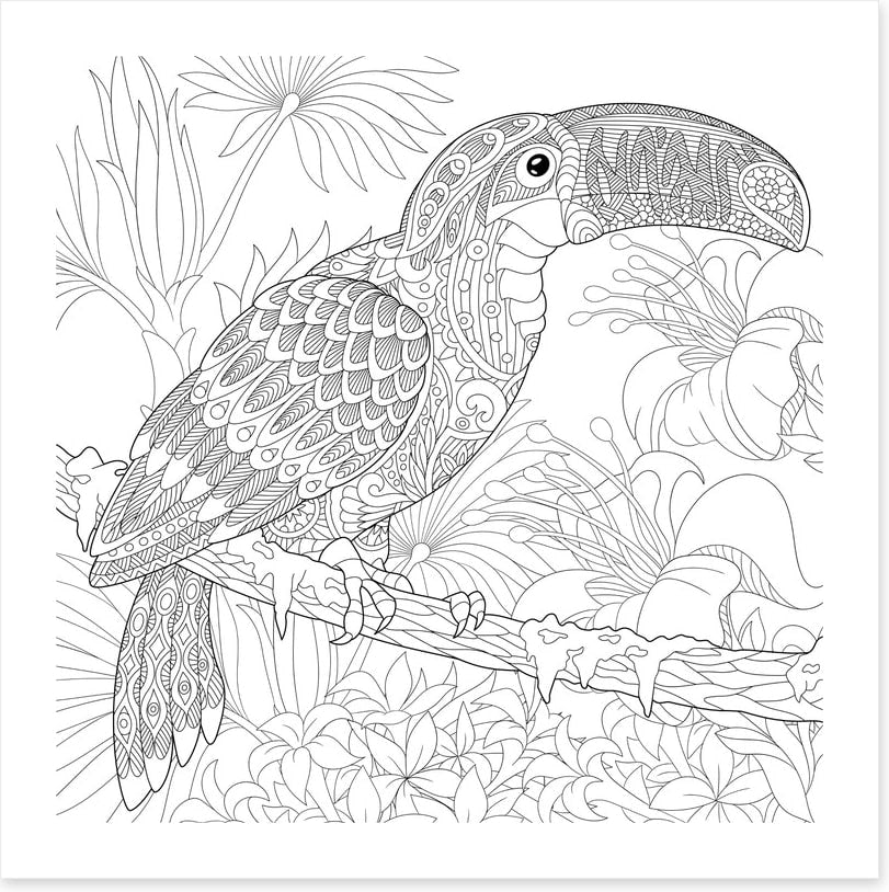 Colour me toucan