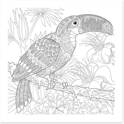 Colour me toucan