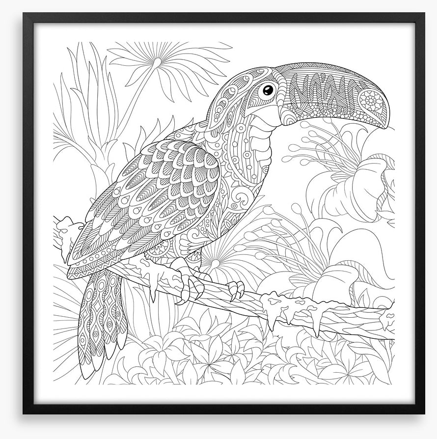 Colour me toucan