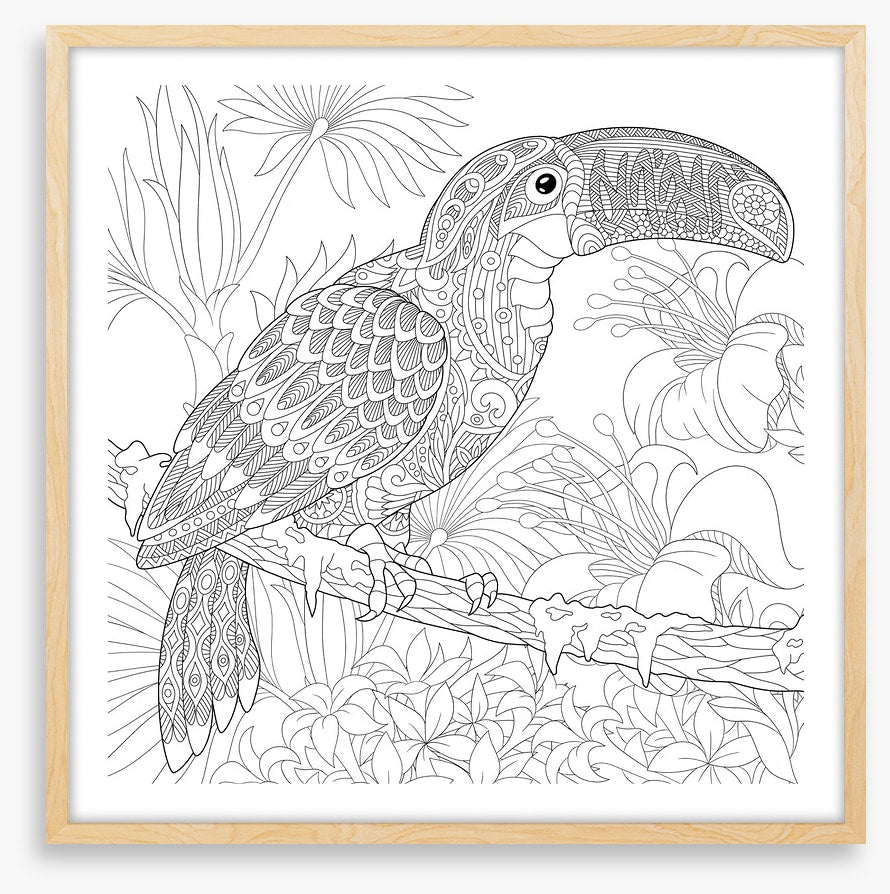 Colour me toucan