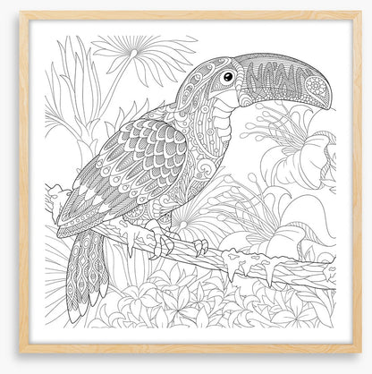Colour me toucan