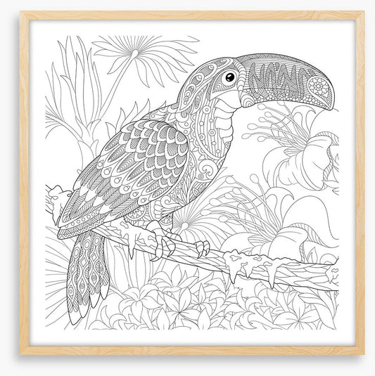 Colour me toucan