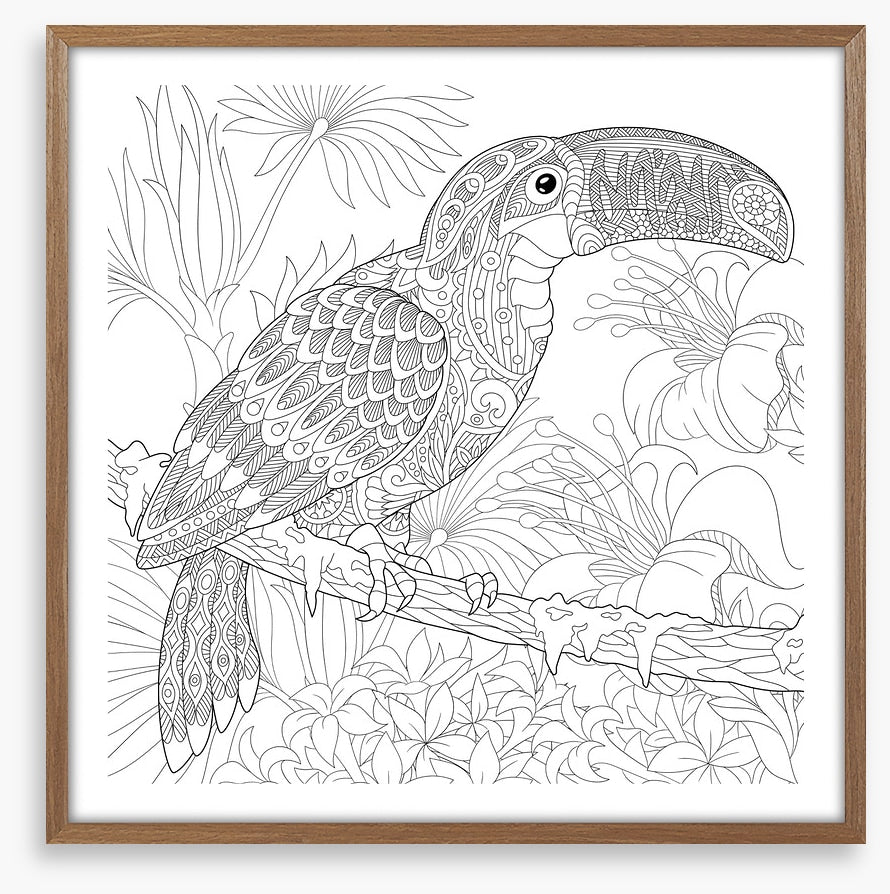 Colour me toucan