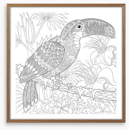 Colour me toucan