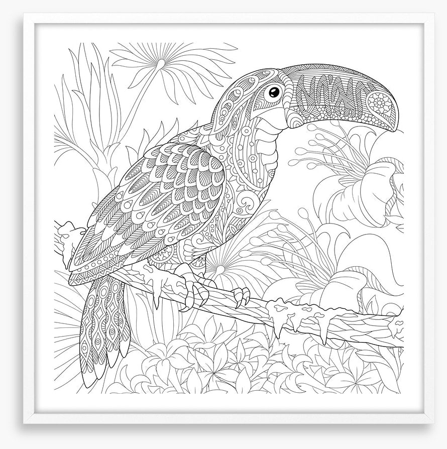 Colour me toucan