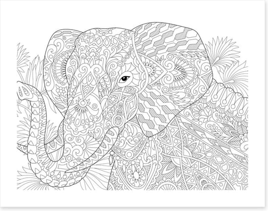 Colour me elephant