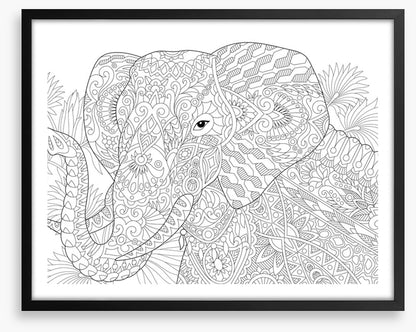 Colour me elephant