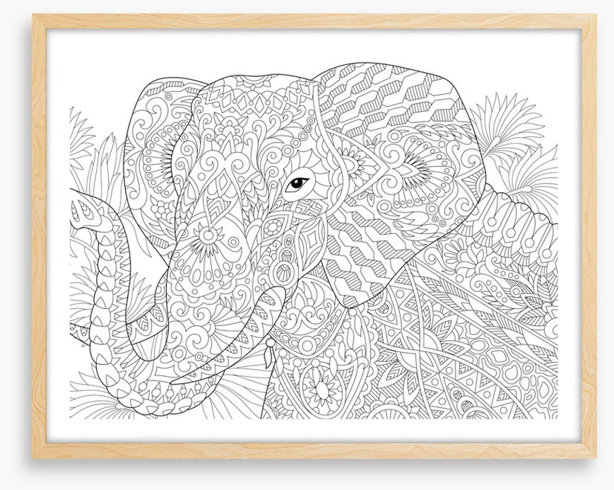 Colour me elephant