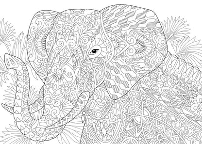 Colour me elephant