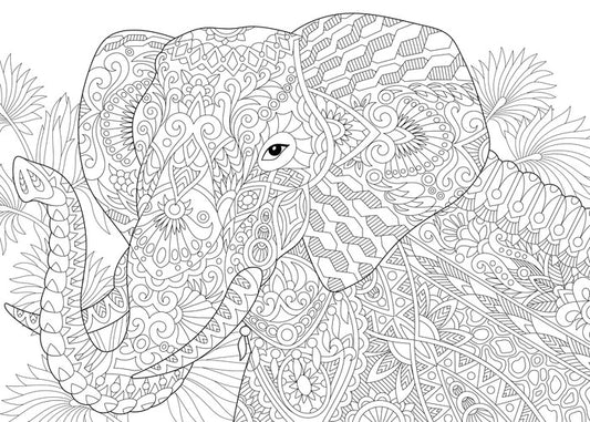 Colour me elephant