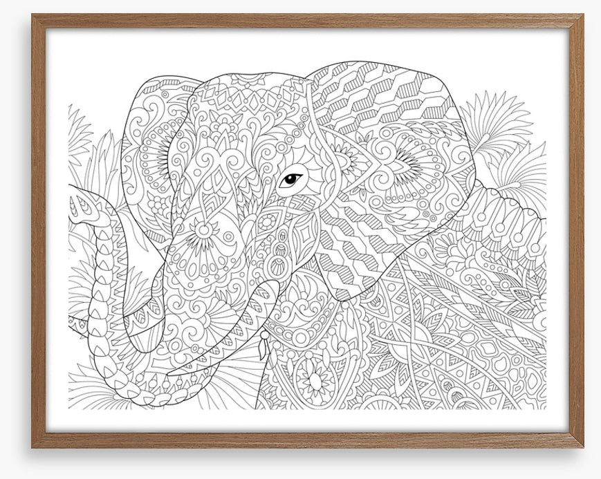 Colour me elephant