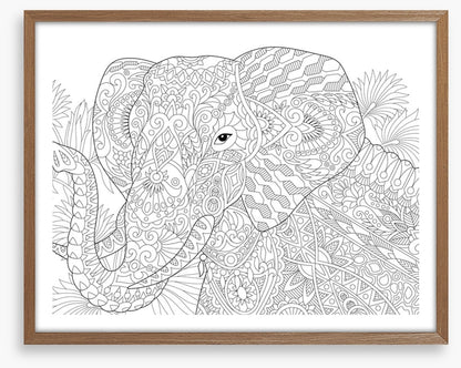 Colour me elephant
