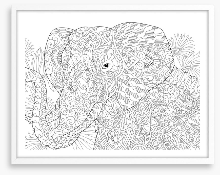 Colour me elephant