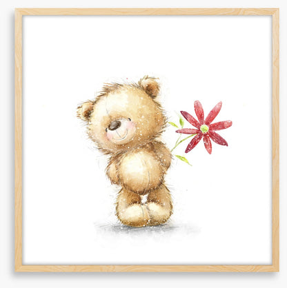 Teddy Bears