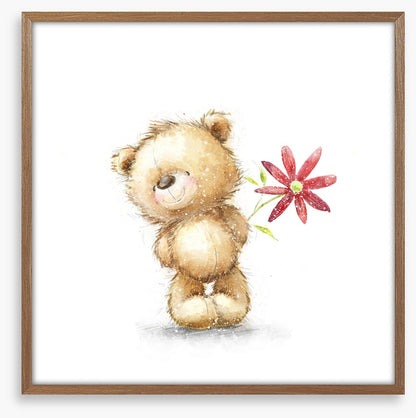 Teddy Bears