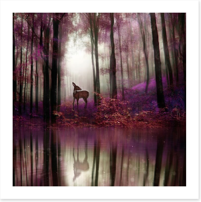 Fawn in the forest