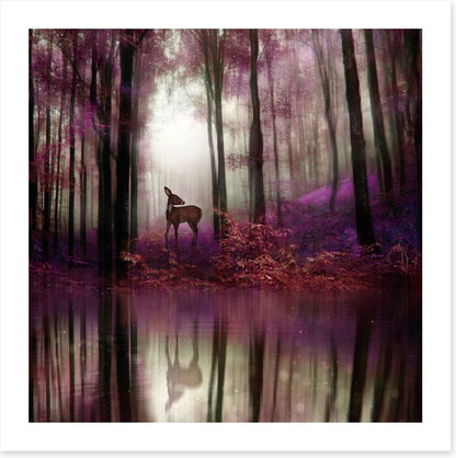 Fawn in the forest