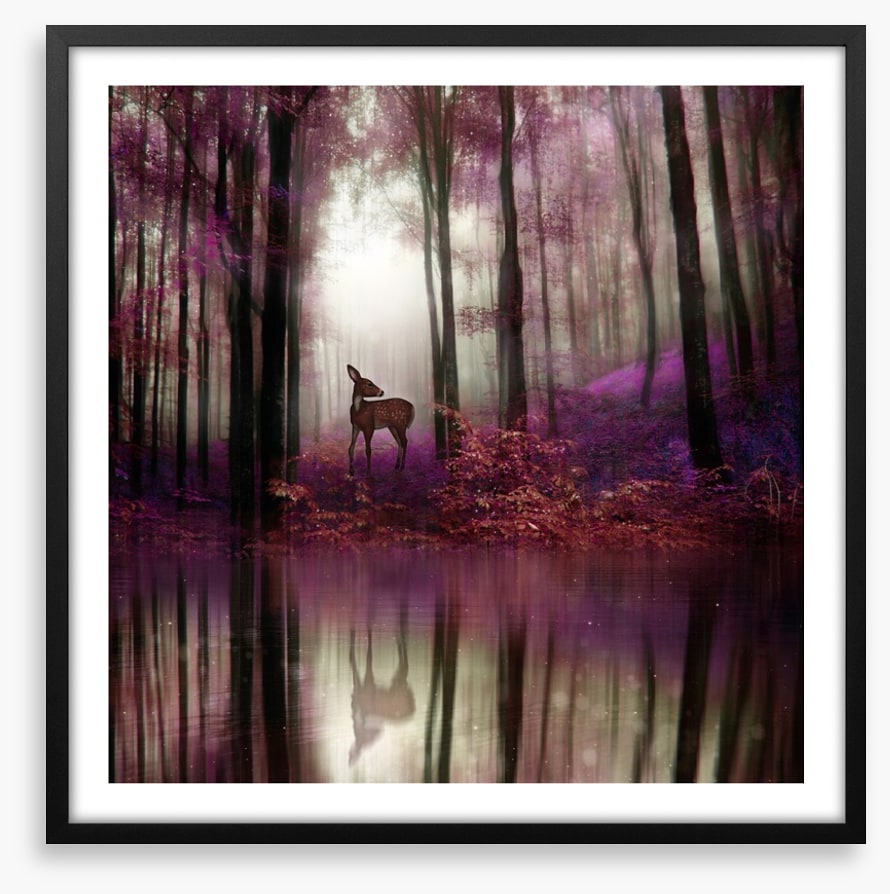 Fawn in the forest