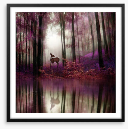 Fawn in the forest