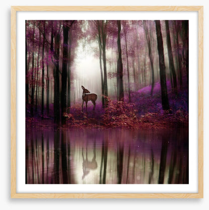 Fawn in the forest