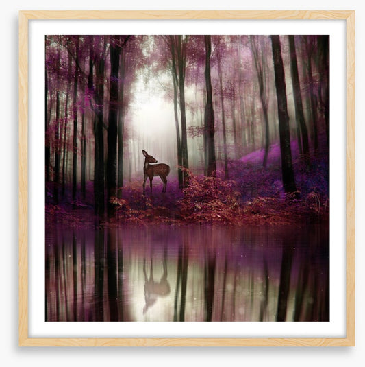 Fawn in the forest