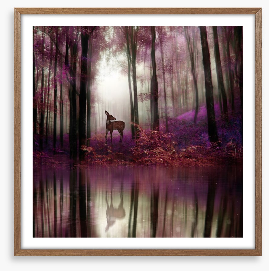 Fawn in the forest