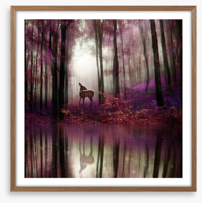 Fawn in the forest