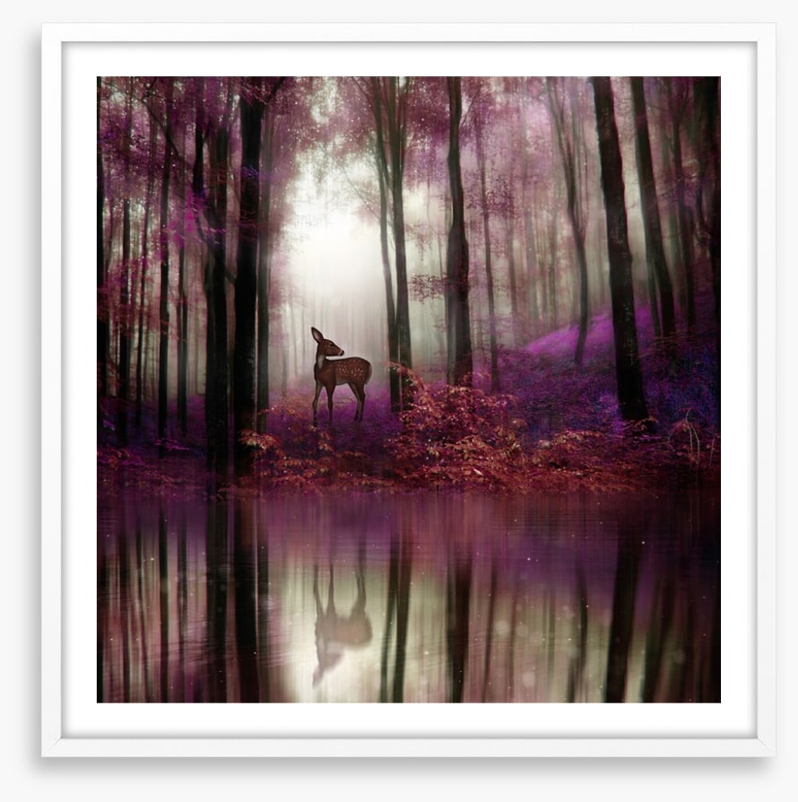 Fawn in the forest
