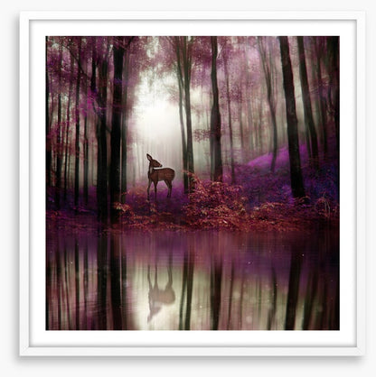 Fawn in the forest