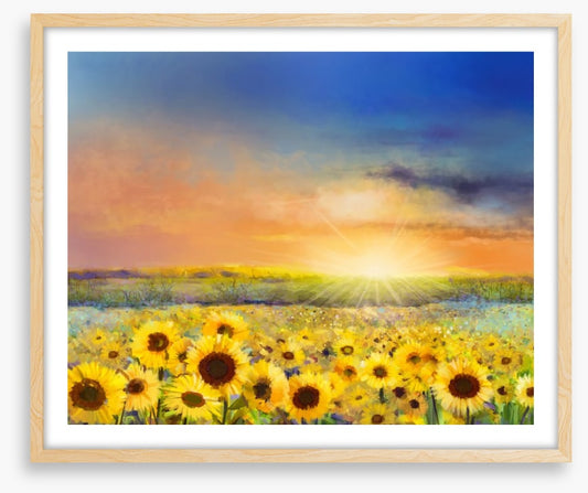 Sunflowers forever