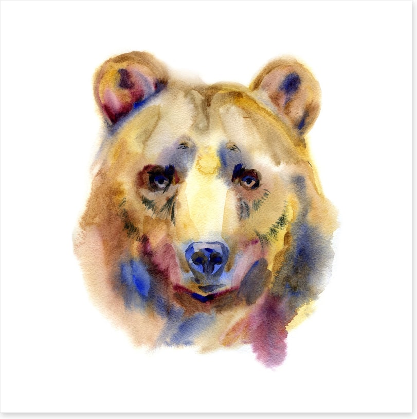 Grizzly by name