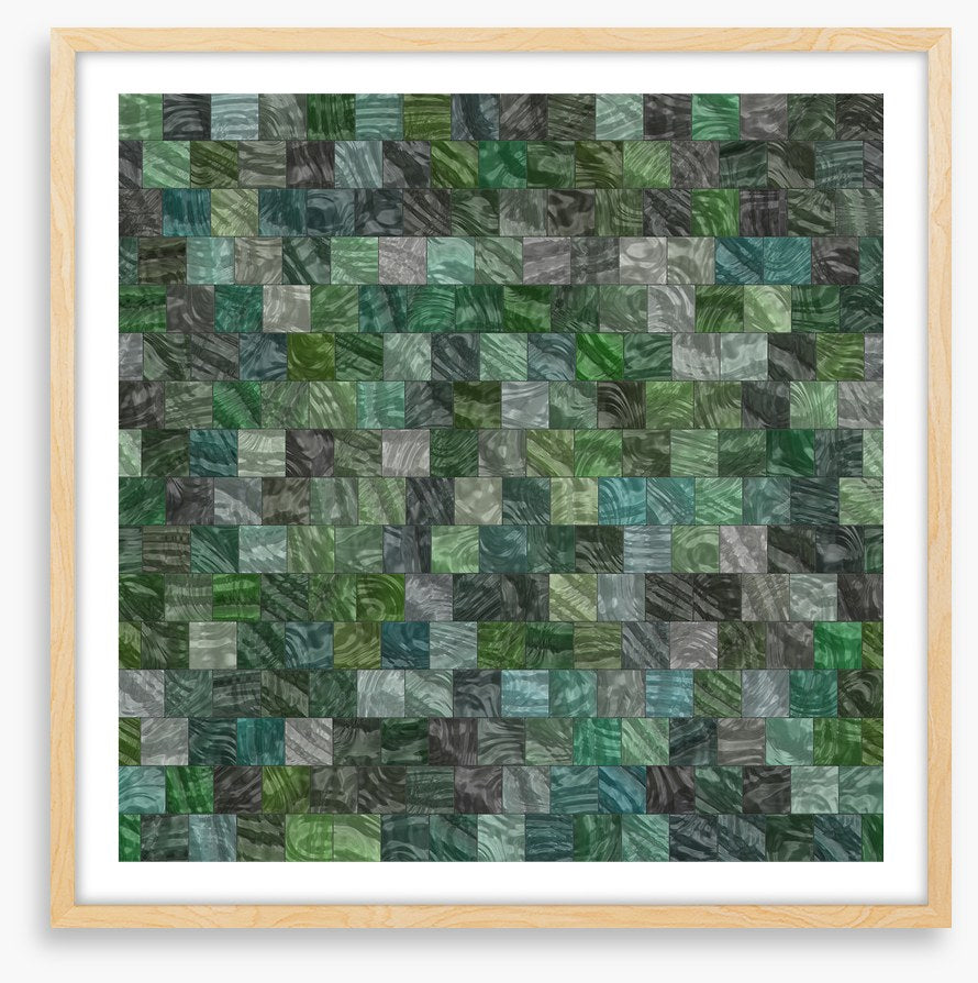 Forest floor
