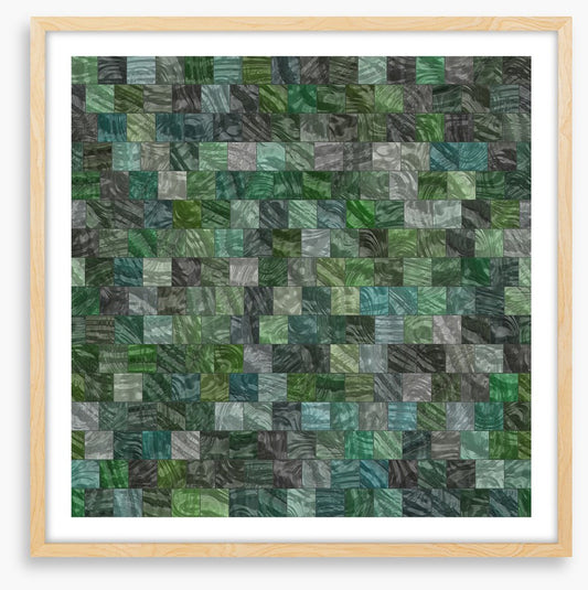 Forest floor