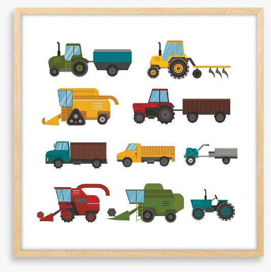 Harvest time