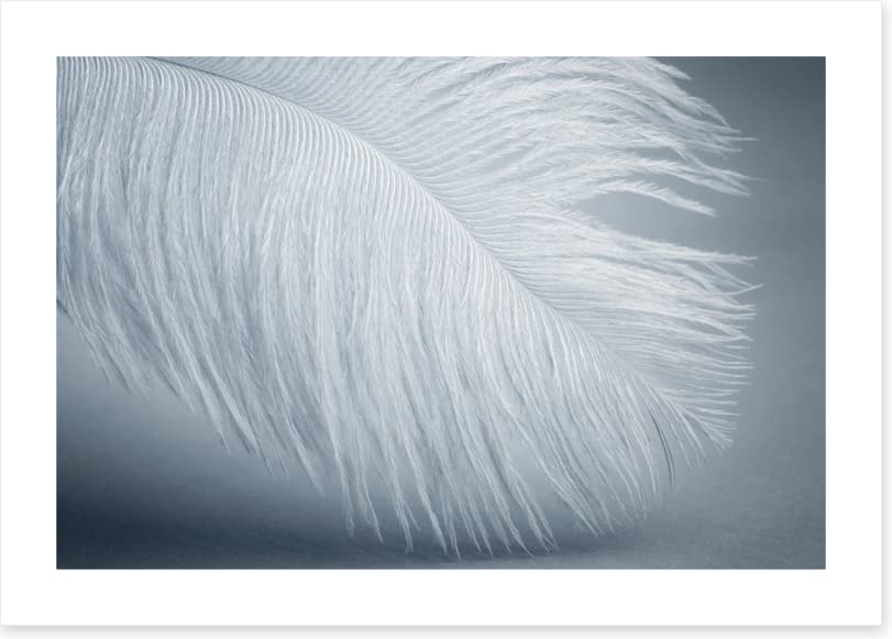 Feather soft
