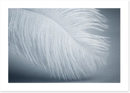 Feather soft