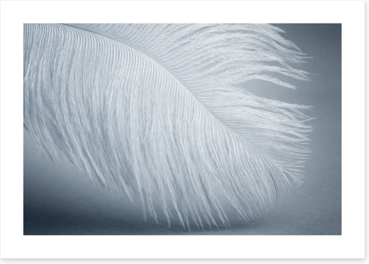 Feather soft