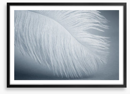 Feather soft