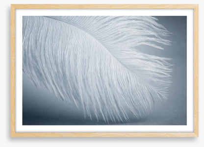 Feather soft